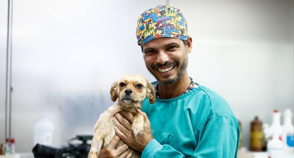 ¿Cuanto cuesta la carrera de veterinaria en perú?